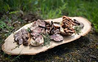 De la forêt à la table