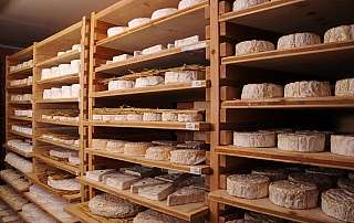Wein und Käse, Maitre Antony