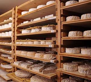 Wein und Käse, Maitre Antony